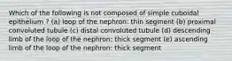 Which of the following is not composed of simple cuboidal epithelium ? (a) loop of the nephron: thin segment (b) proximal convoluted tubule (c) distal convoluted tubule (d) descending limb of the loop of the nephron: thick segment (e) ascending limb of the loop of the nephron: thick segment