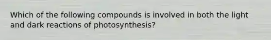 Which of the following compounds is involved in both the light and dark reactions of photosynthesis?