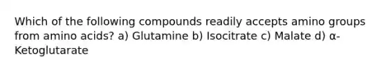 Which of the following compounds readily accepts amino groups from amino acids? a) Glutamine b) Isocitrate c) Malate d) ⍺-Ketoglutarate