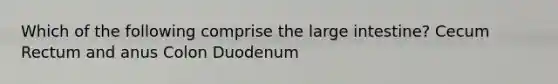 Which of the following comprise the large intestine? Cecum Rectum and anus Colon Duodenum