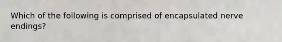 Which of the following is comprised of encapsulated nerve endings?