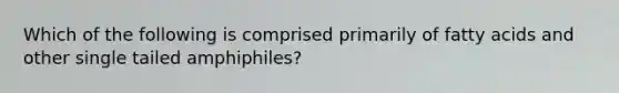 Which of the following is comprised primarily of fatty acids and other single tailed amphiphiles?