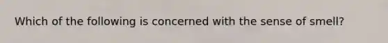 Which of the following is concerned with the sense of smell?