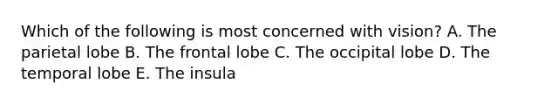 Which of the following is most concerned with vision? A. The parietal lobe B. The frontal lobe C. The occipital lobe D. The temporal lobe E. The insula