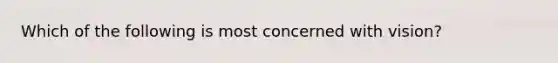 Which of the following is most concerned with vision?