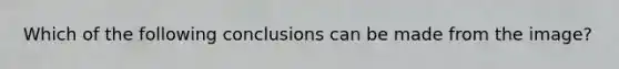 Which of the following conclusions can be made from the image?