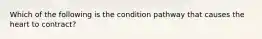 Which of the following is the condition pathway that causes the heart to contract?