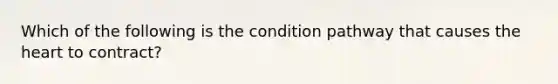 Which of the following is the condition pathway that causes the heart to contract?