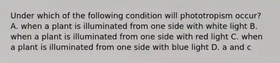 Under which of the following condition will phototropism occur? A. when a plant is illuminated from one side with white light B. when a plant is illuminated from one side with red light C. when a plant is illuminated from one side with blue light D. a and c