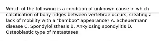 Which of the following is a condition of unknown cause in which calcification of bony ridges between vertebrae occurs, creating a lack of mobility with a "bamboo" appearance? A. Scheuermann disease C. Spondylolisthesis B. Ankylosing spondylitis D. Osteoblastic type of metastases