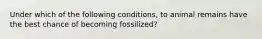 Under which of the following conditions, to animal remains have the best chance of becoming fossilized?