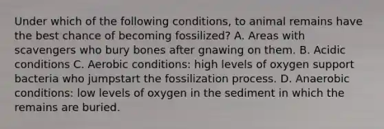 Under which of the following conditions, to animal remains have the best chance of becoming fossilized? A. Areas with scavengers who bury bones after gnawing on them. B. Acidic conditions C. Aerobic conditions: high levels of oxygen support bacteria who jumpstart the fossilization process. D. Anaerobic conditions: low levels of oxygen in the sediment in which the remains are buried.