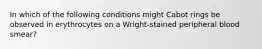 In which of the following conditions might Cabot rings be observed in erythrocytes on a Wright-stained peripheral blood smear?