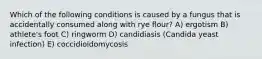 Which of the following conditions is caused by a fungus that is accidentally consumed along with rye flour? A) ergotism B) athlete's foot C) ringworm D) candidiasis (Candida yeast infection) E) coccidioidomycosis