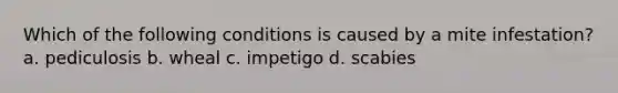 Which of the following conditions is caused by a mite infestation? a. pediculosis b. wheal c. impetigo d. scabies