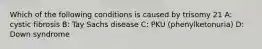 Which of the following conditions is caused by trisomy 21 A: cystic fibrosis B: Tay Sachs disease C: PKU (phenylketonuria) D: Down syndrome