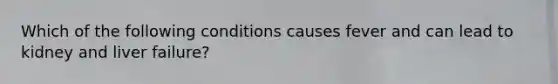 Which of the following conditions causes fever and can lead to kidney and liver failure?