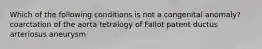 Which of the following conditions is not a congenital anomaly? coarctation of the aorta tetralogy of Fallot patent ductus arteriosus aneurysm