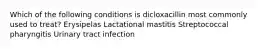 Which of the following conditions is dicloxacillin most commonly used to treat? Erysipelas Lactational mastitis Streptococcal pharyngitis Urinary tract infection