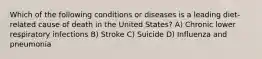 Which of the following conditions or diseases is a leading diet-related cause of death in the United States? A) Chronic lower respiratory infections B) Stroke C) Suicide D) Influenza and pneumonia