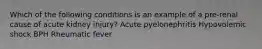 Which of the following conditions is an example of a pre-renal cause of acute kidney injury? Acute pyelonephritis Hypovolemic shock BPH Rheumatic fever