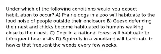 Under which of the following conditions would you expect habituation to occur? A) Prairie dogs in a zoo will habituate to the loud noise of people outside their enclosure B) Geese defending their nest and chicks become habituated to humans walking close to their nest. C) Deer in a national forest will habituate to infrequent bear visits D) Squirrels in a woodland will habituate to hawks that frequent the woods every few weeks.