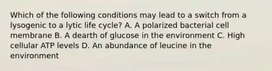 Which of the following conditions may lead to a switch from a lysogenic to a lytic life cycle? A. A polarized bacterial cell membrane B. A dearth of glucose in the environment C. High cellular ATP levels D. An abundance of leucine in the environment