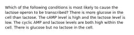 Which of the following conditions is most likely to cause the lactose operon to be transcribed? There is more glucose in the cell than lactose. The cAMP level is high and the lactose level is low. The cyclic AMP and lactose levels are both high within the cell. There is glucose but no lactose in the cell.