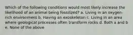 Which of the following conditions would most likely increase the likelihood of an animal being fossilized? a. Living in an oxygen-rich environment b. Having an exoskeleton c. Living in an area where geological processes often transform rocks d. Both a and b e. None of the above