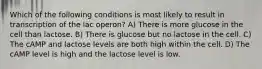 Which of the following conditions is most likely to result in transcription of the lac operon? A) There is more glucose in the cell than lactose. B) There is glucose but no lactose in the cell. C) The cAMP and lactose levels are both high within the cell. D) The cAMP level is high and the lactose level is low.