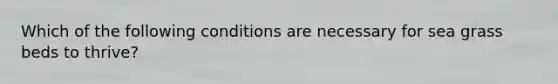Which of the following conditions are necessary for sea grass beds to thrive?