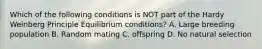 Which of the following conditions is NOT part of the Hardy Weinberg Principle Equilibrium conditions? A. Large breeding population B. Random mating C. offspring D. No natural selection