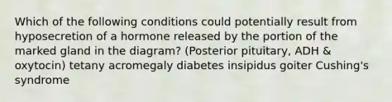 Which of the following conditions could potentially result from hyposecretion of a hormone released by the portion of the marked gland in the diagram? (Posterior pituitary, ADH & oxytocin) tetany acromegaly diabetes insipidus goiter Cushing's syndrome