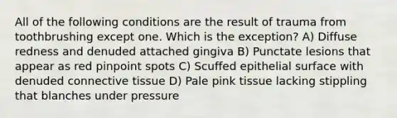 All of the following conditions are the result of trauma from toothbrushing except one. Which is the exception? A) Diffuse redness and denuded attached gingiva B) Punctate lesions that appear as red pinpoint spots C) Scuffed epithelial surface with denuded connective tissue D) Pale pink tissue lacking stippling that blanches under pressure