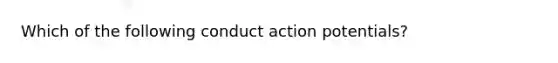 Which of the following conduct action potentials?