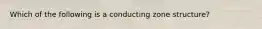 Which of the following is a conducting zone structure?