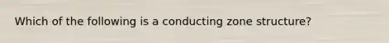 Which of the following is a conducting zone structure?