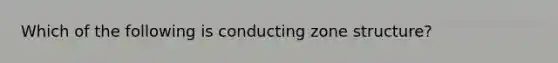 Which of the following is conducting zone structure?