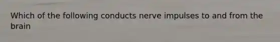 Which of the following conducts nerve impulses to and from the brain