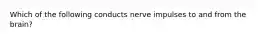 Which of the following conducts nerve impulses to and from the brain?