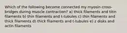 Which of the following become connected my myosin cross-bridges during muscle contraction? a) thick filaments and titin filaments b) thin filaments and t-tubules c) thin filaments and thick filaments d) thick filaments and t-tubules e) z disks and actin filaments