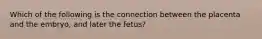 Which of the following is the connection between the placenta and the embryo, and later the fetus?