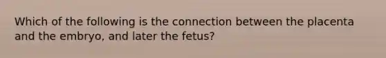 Which of the following is the connection between the placenta and the embryo, and later the fetus?