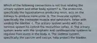 Which of the following connections is not true relating the urinary system and other body system? a. The endocrine, specifically the hypothalamus producing renin, acts on the kidneys to produce more urine. b. The muscular system, specifically the cremaster muscle and sphincters, helps with voiding the bladder. c. The urinary system works with the nervous system to control the micturition reflex. d. The urinary system works with the lymphatic and cardiovascular systems to regulate fluid levels in the body. e. The skeletal system, specifically the sacrum and coccyx, help protect the bladder.