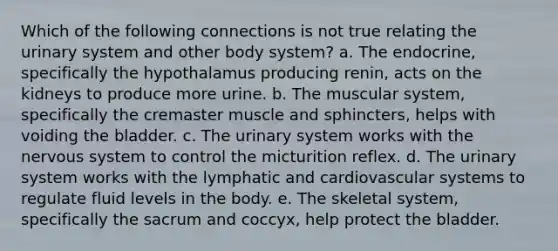 Which of the following connections is not true relating the urinary system and other body system? a. The endocrine, specifically the hypothalamus producing renin, acts on the kidneys to produce more urine. b. The muscular system, specifically the cremaster muscle and sphincters, helps with voiding the bladder. c. The urinary system works with the nervous system to control the micturition reflex. d. The urinary system works with the lymphatic and cardiovascular systems to regulate fluid levels in the body. e. The skeletal system, specifically the sacrum and coccyx, help protect the bladder.