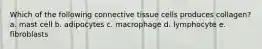 Which of the following connective tissue cells produces collagen? a. mast cell b. adipocytes c. macrophage d. lymphocyte e. fibroblasts