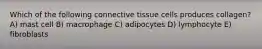 Which of the following connective tissue cells produces collagen? A) mast cell B) macrophage C) adipocytes D) lymphocyte E) fibroblasts