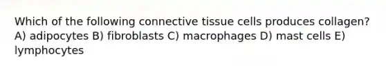 Which of the following connective tissue cells produces collagen? A) adipocytes B) fibroblasts C) macrophages D) mast cells E) lymphocytes