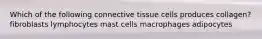 Which of the following connective tissue cells produces collagen? fibroblasts lymphocytes mast cells macrophages adipocytes