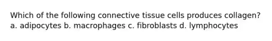 Which of the following connective tissue cells produces collagen? a. adipocytes b. macrophages c. fibroblasts d. lymphocytes